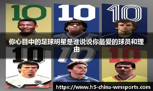 wm体育
